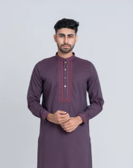 Premium Silk Saree with Intricate Border Design